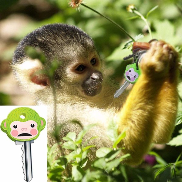 6 kpl avaimenperän suojuksia söpö apina avaimen suojukset sopii useimpiin vakioavaimiin