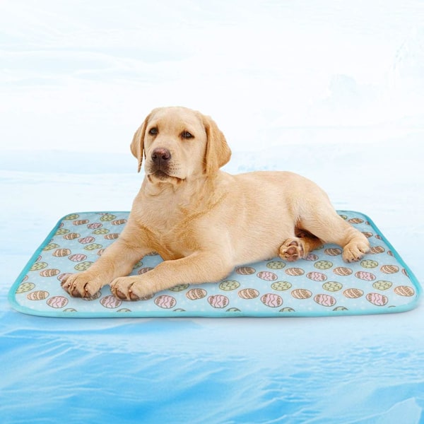 Kjølematte for kjæledyr, hundekatter Kjølematte Kjølepute Kald seng Teppe Is Silke Kjøling (Blå, M)-50*70cm