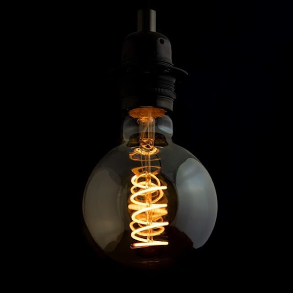 LED Filament Pære 4W Globe Spiral LED Pærer Dekorative Lyspærer Gamle Pærer, Varmt Hvidt 2200K, Pakke med 2