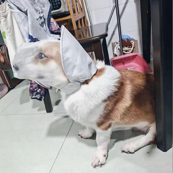 Justerbart åndbart hundehoveddække og rævehaledække, hvid, størrelse S M