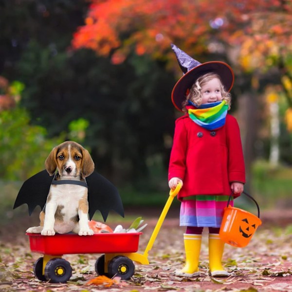 Klæd Dig Ud Sjov Cool Tøj til Cosplay Fest, Halloween Fest Dekoration, Ferie Dekorationer Tøj, Hund Kat Klæd Dig Ud Tilbehør (X-Lille)