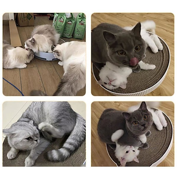 Kattens Klør, Kattens Kløyleke, Rundt Brettkløepute, Kattens Kløyleke, Klør Sofa Seng Kattemynte