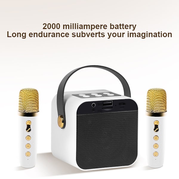 Mini Karaoke-maskin, Bärbar Bluetooth-högtalare, med Mikrofon RGB-ljus Digital Bearbetning, Svart balck