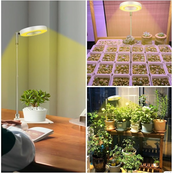 Plantelys, højdejusterbart fuldspektret LED-vækstlys, 9 niveauer af justerbar lysstyrke, 180° rotation og 3/9/12 timers automatisk tænd/sluk-timer