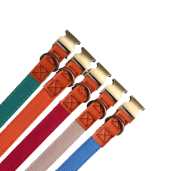 Hundehalsbånd i PU med farvematchende bånd og bronze metal tilbehør 2,0*24,5-35CM