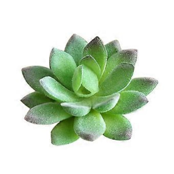 Grønne DIY Kunstige Sukkulenter til Kreativt Blomsterdesign og Boligindretning