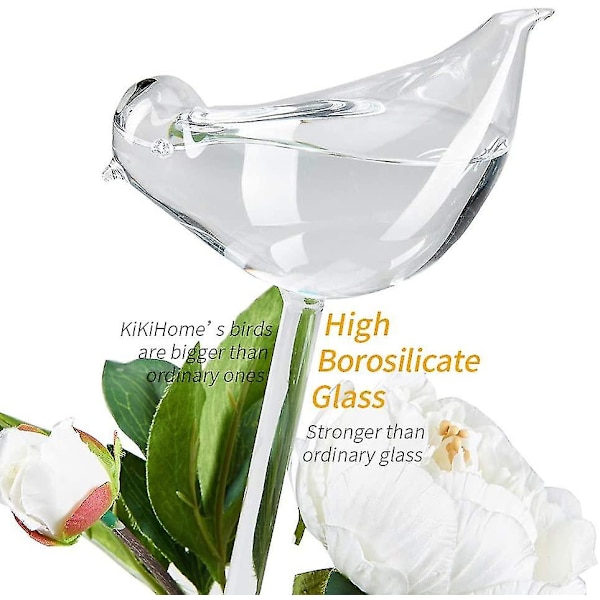 Självbevattnande glasglober för växter, 2 fåglar