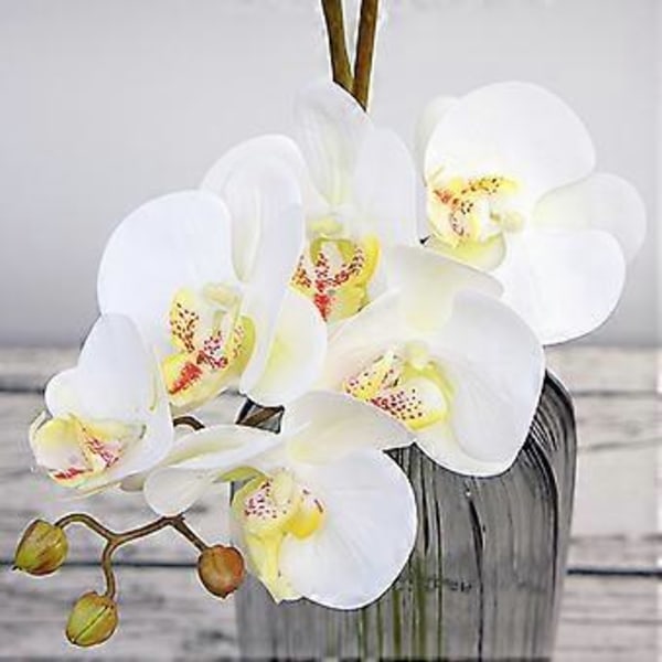 Falska fjärilsorkidéblommor - 6 huvuden vit sideninredning