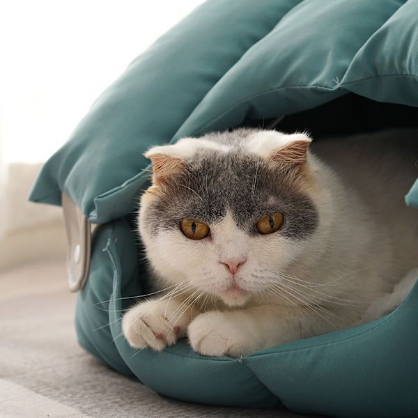 Dubbel användning välvd kattsäng Blå välvd bo Grå välvd bo
