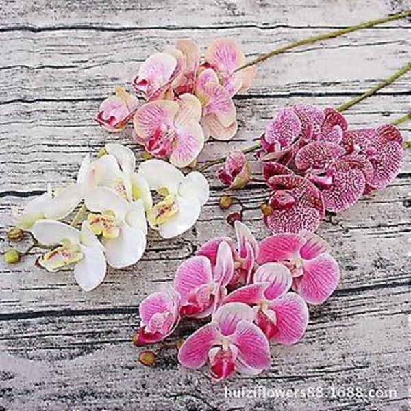 Falska fjärilsorkidéblommor - 6 huvuden vit sideninredning