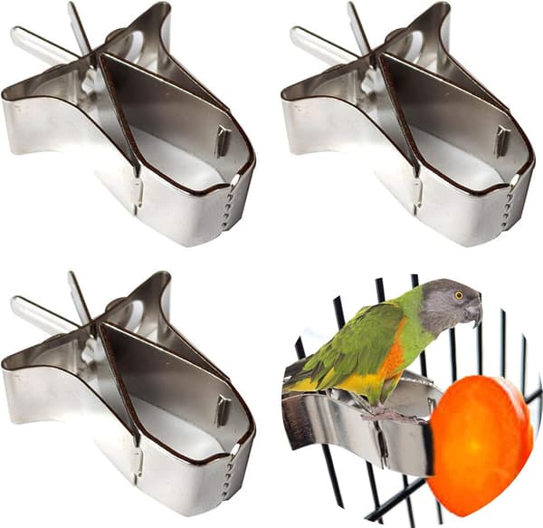 Papegøje Fuglefoder, 3 stk. Fuglefrugtholder i rustfrit stål Fugle C