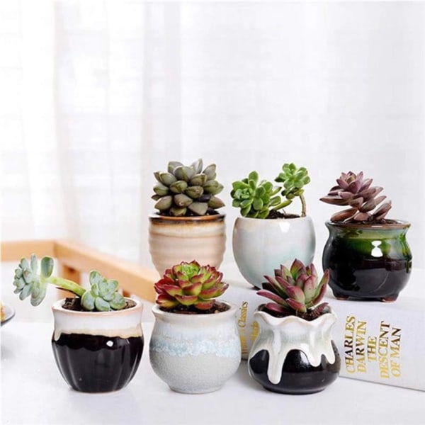 6 St. Keramik Blomkruka Mini Suckulentkruka Kaktusväxtkruka för