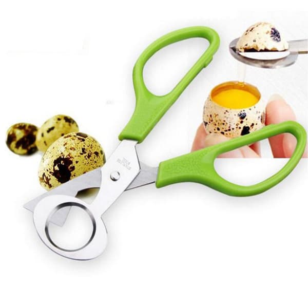 Vaktel-egg saks, fugle-egg saks, eggkutter i rustfritt stål, eggkutter