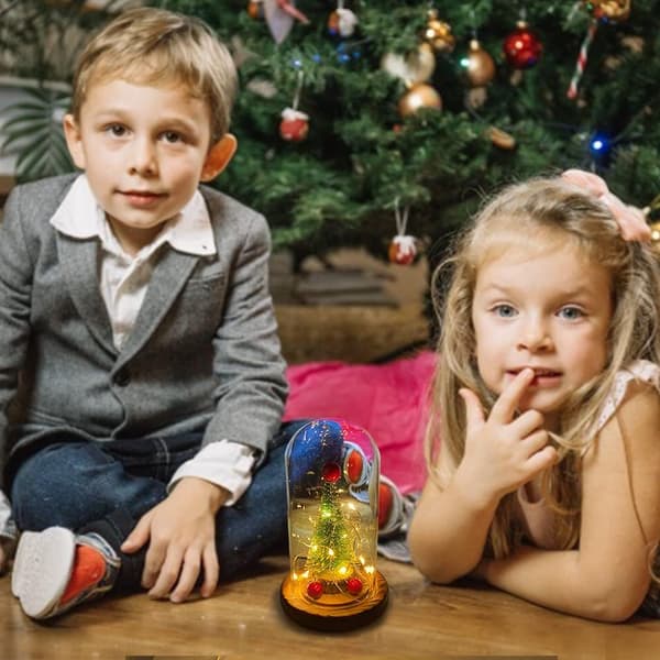 Glaskupa julgran, Mini snöiga julgranar, Ny glaskupa