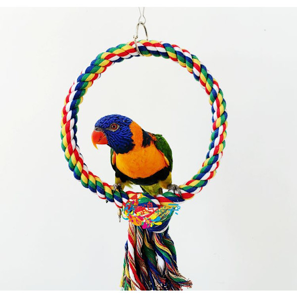 Fågelrepssväng Färgglad Abborre Klättringsleksak för Papegojor Undulat Nymfkakadua Conure - M