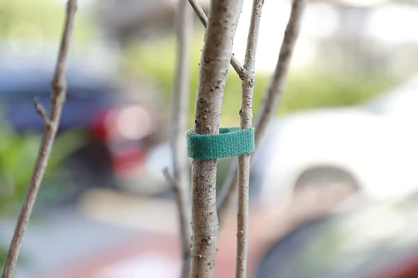 Växtbindningar Trädgårdstejp Återanvändbar Nylon Växtbindningsrem, Tomatväxtstöd, Trädbindningar & Växtstöd (grön)