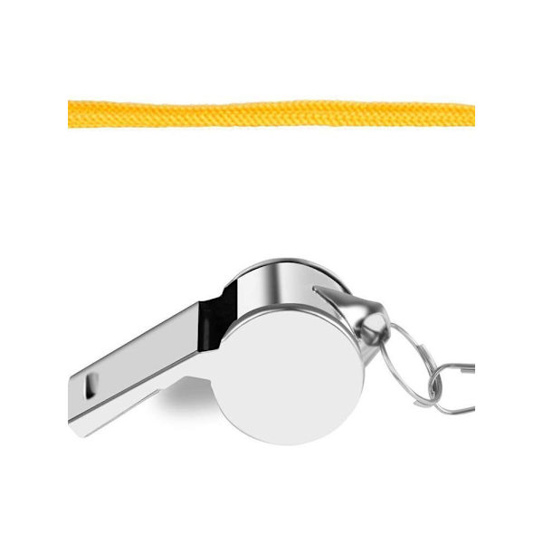 Narullinen teräspilli