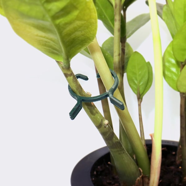 100 stk hageklemmer for planter, ideelle for å feste planter til støtter