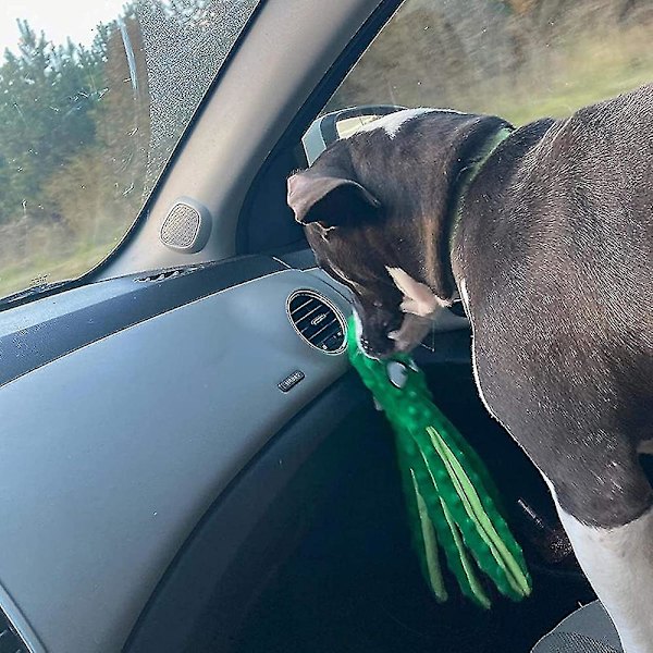 Hund Leksak Bläckfisk - Plysch Hundleksaker För Valp Tandspottning 2-pack (Blå*Grön)
