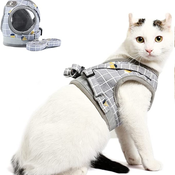 Cat Harness 21 Straps 1.2m, Adjustable Leash for Kitten Harness,