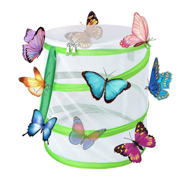 Butterfly Habitat Hopfällbar insektsfångare Mesh Insekter Växtbur Terrarium Pop-up för barn/barn/ toddler Fångande（15X16CM）