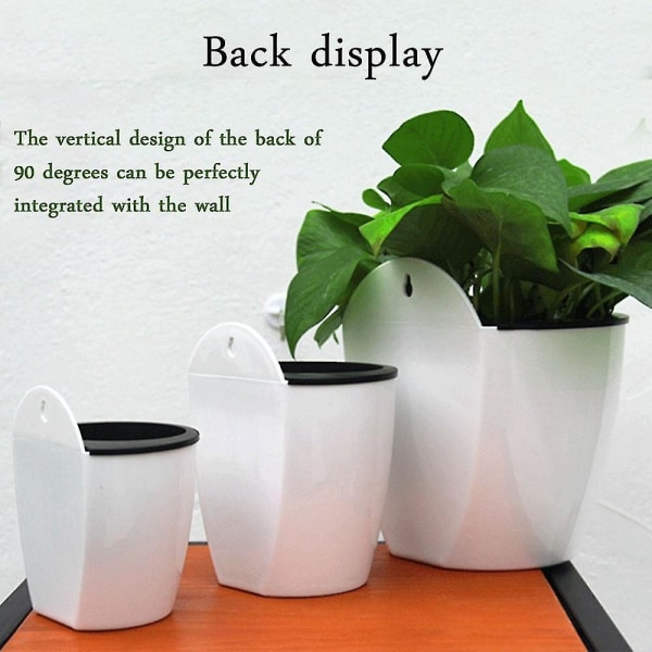 Modern design väggmonterad blomkruka rund form harts hydroponics klorofyll krukväxter till salu