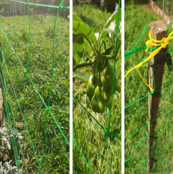 Robust net til klatreplanter, 1,8 * 1,8 m, meget robust