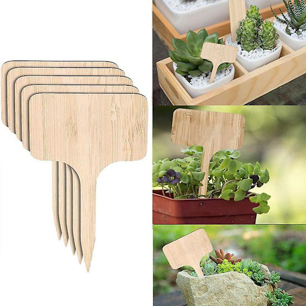 50 st hållbara miniträdgårdsetiketter kreativa trädgårdsskyltar etiketter för blommor och växtdekorationer