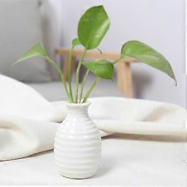 Plante Hydroponisk Keramisk Vase Kreativ Fremme Sund Vækst Plantekasse til Stue Soveværelse Studie White