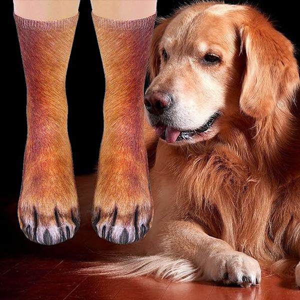 Sjove sokker til mænd, kvinder og teenagere - Nyhedssokker Funky Fun Casual Crew Socks