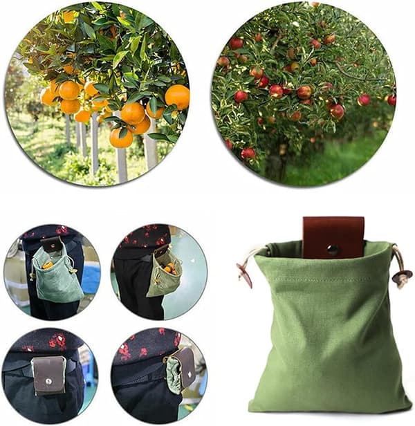 (Grøn) Voksdug Foraging Pouch, Vandreture Taljepakker Kollapsib
