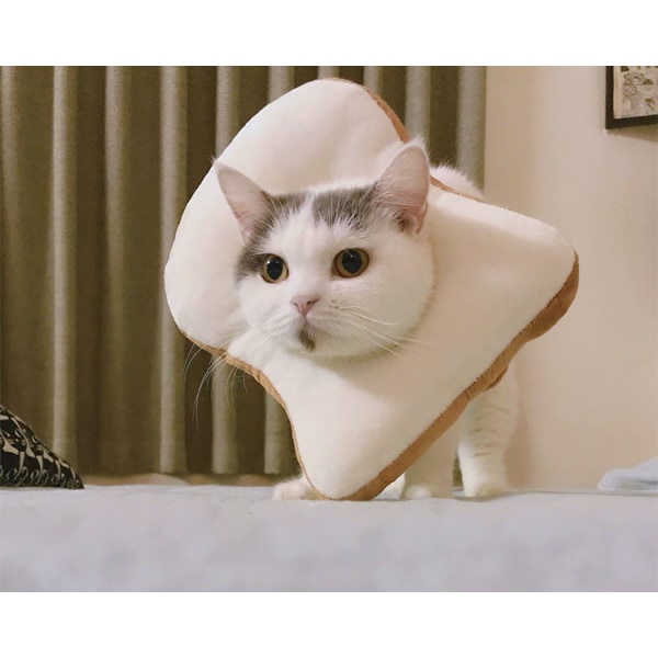 Justerbar Cat Cone Collar Soft, Cat Recovery Collar, Cute Colla