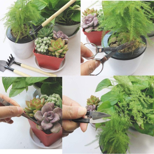 Jardinage Kit de jardinage 10 delar Plantes succulentes en pot Testeur de sol 3-en-1 set