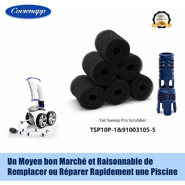 TSP10P ja 91003105 Painepuolen allasrobottipuhdistin Polarisille