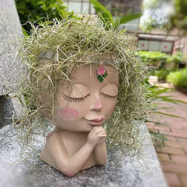 Ansigts Blomsterpot Hoved Planter Sukkulent Pot Planter Kaktus Planter