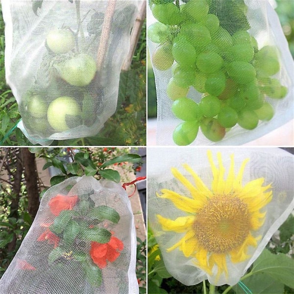 100 st Bunch Protection Bag 23x17cm Grape Fruit Organza Bag Med Dragsko ger（Vit）