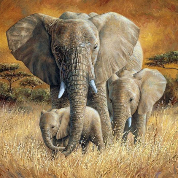 5d- diamond painting , elefantfamiljsdjur Full borr DIY Diamantkonst korsstygnsmålning efter siffror