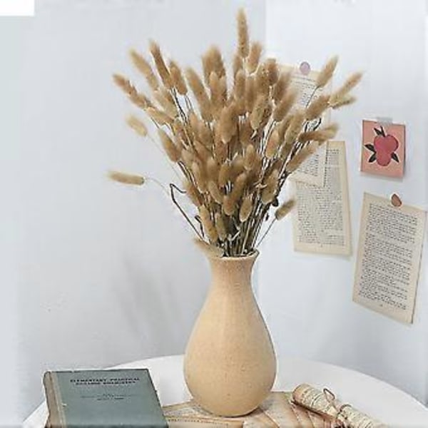 2 stk. DIY Hvit Embryo Vase DIY Farget Tegning Blomstervase Tre DIY Leireform