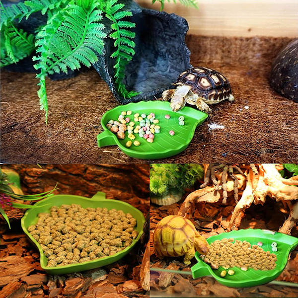 2 st bladformade reptilvattenmatskålar för dricks- och matsköldpadda majssnok krypande husdjur, 2 storlekar