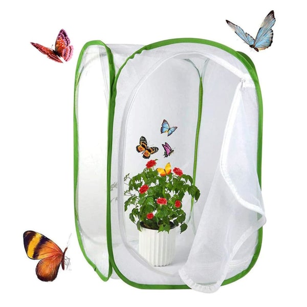 Butterfly Habitat Hopfällbar insektsfångare Mesh Insekter Växtbur Terrarium Pop-up för barn/ toddler fånga（30X30X30CM）