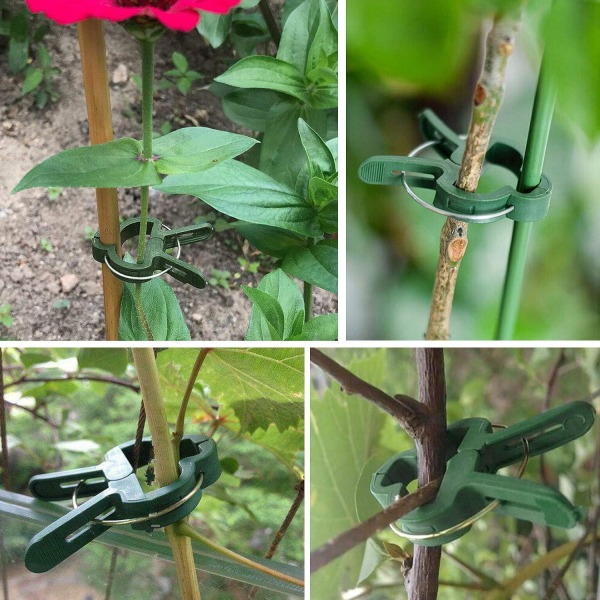 Haveklips til planter, 100 stk. holdbare planteclips, genanvendelige clips