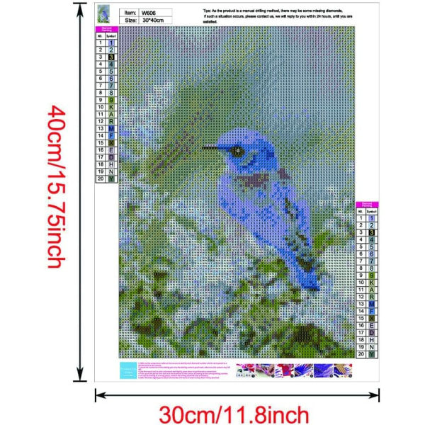 30*40cm Täysi timanttimaalaus, Sininen lintu Kukka timanttimaalaus