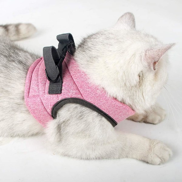 Kissan valjaat ja talutushihna Ultralight Kitten Collar Pehmeä ja mukava