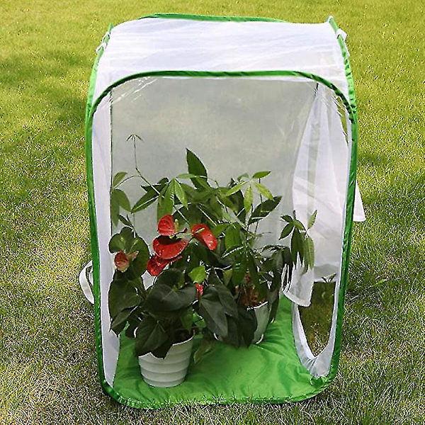 Stor hopfällbar fjärilshabitatbur Terrarium, insekts- och fjärilsnät för avel av insatser 40*40*60cm