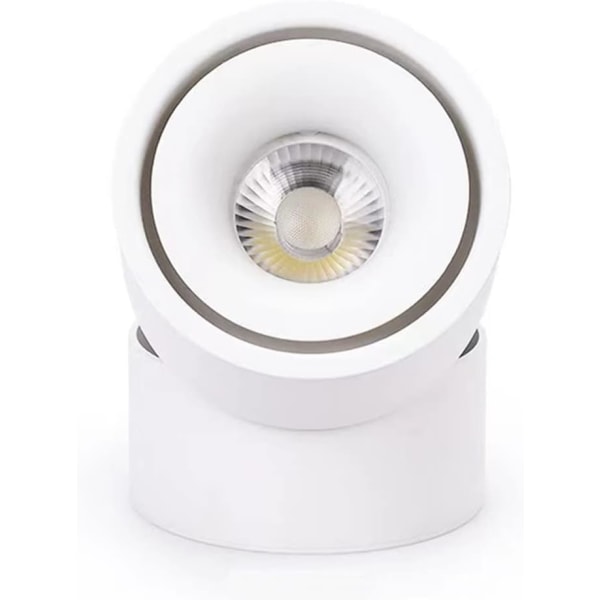 LED 12W Dimbar Taklampe Kunstbelysning Spotlights Innendørs Vegglampe Taklampe 960LM Hvit