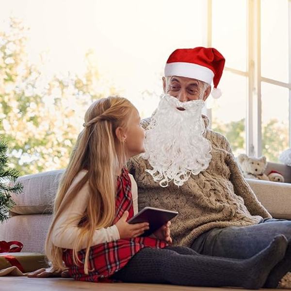 4-delad set med hatt, skägg och peruk för julfest