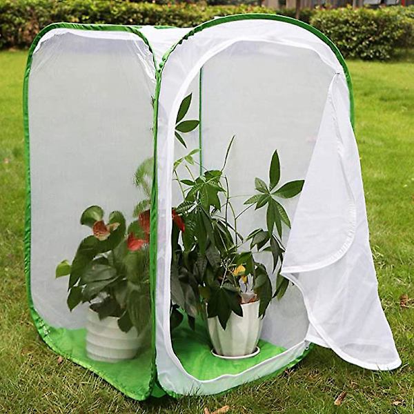 Insektfjärilshabitat Stor fjärilshabitat Bur Fällbar Insektsfjärilsnät Fjärilshus för barn（60*60*90cm）
