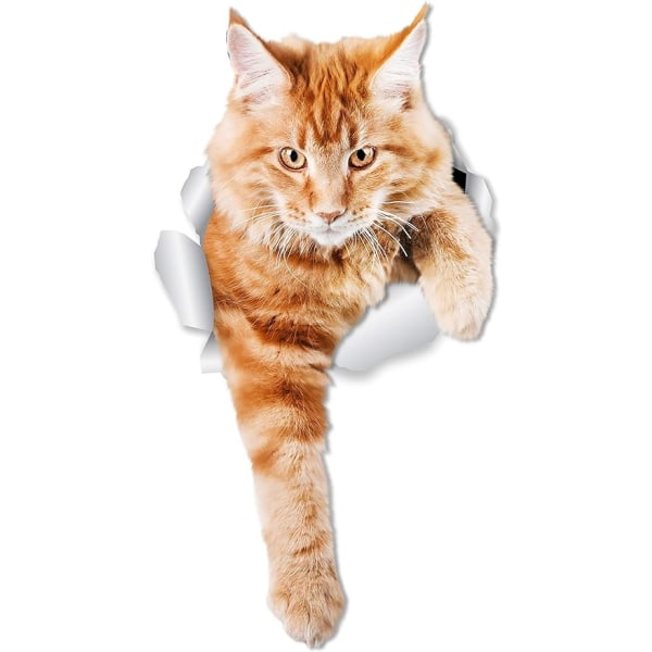 Cat Wall Decals - Set med 2 - Orange Cat Toalettdekal - 3D Cat Car