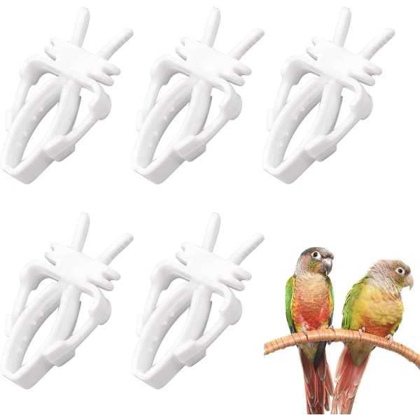 Bird Fruit Clip, Bird Parrot Fruit Tool, Bird Food Holder, Bird C