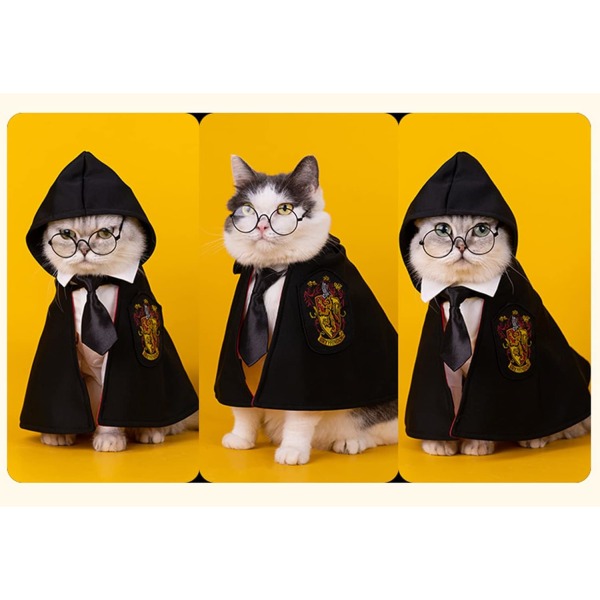 Hogwarts Halloween-kostume til kæledyr